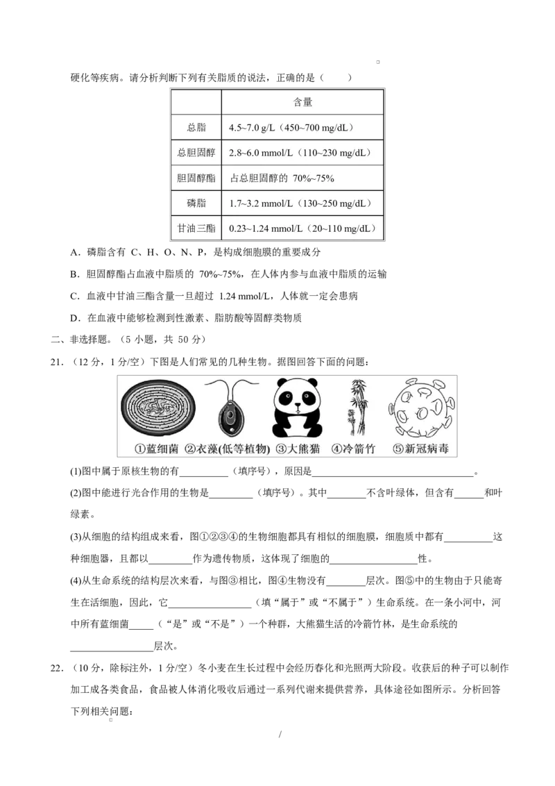 高一生物上学期第一次月考卷（四川专用）（考试版）_2025年10月高一试卷_2510032025-2026学年高一生物上学期第一次月考_2025-2026学年高一生物上学期第一次月考（四川专用）Word版含解析