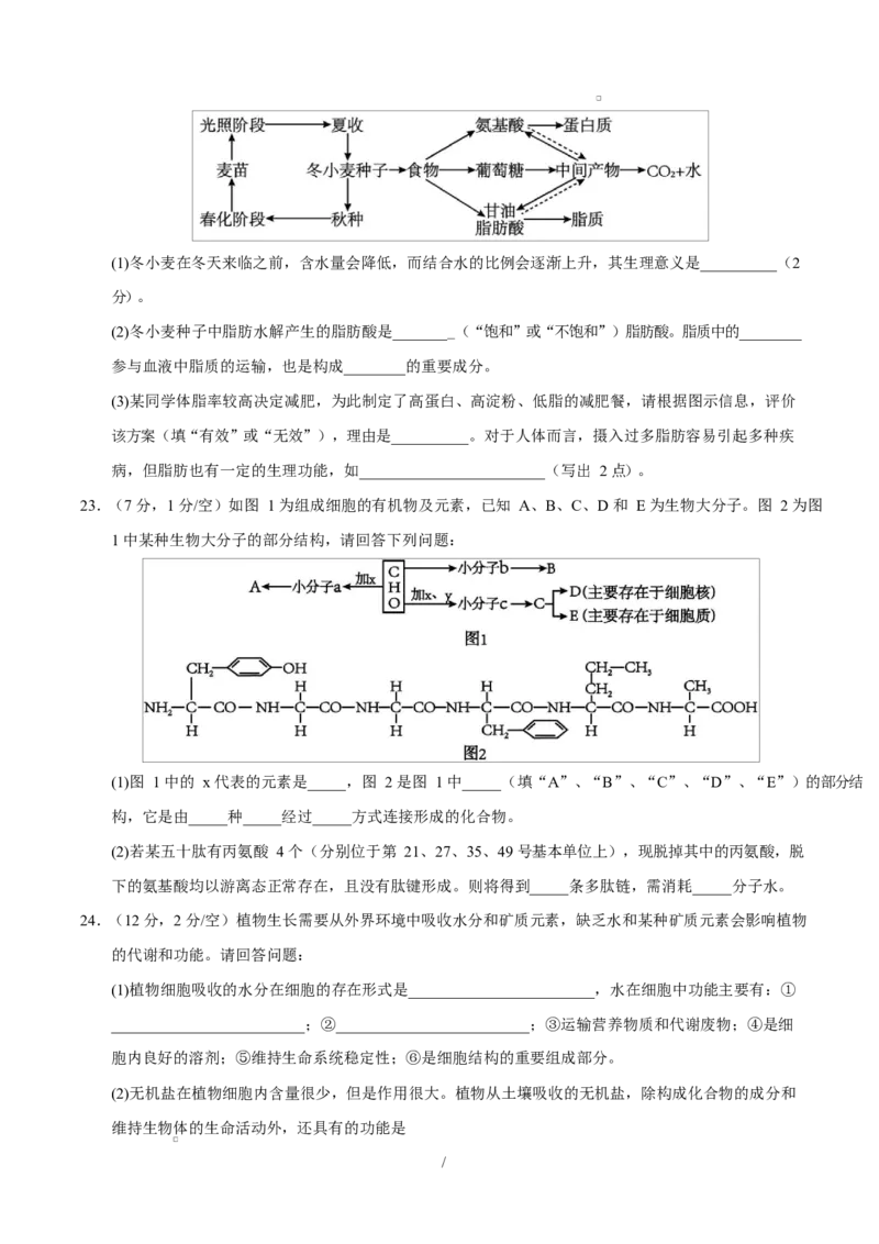 高一生物上学期第一次月考卷（四川专用）（考试版）_2025年10月高一试卷_2510032025-2026学年高一生物上学期第一次月考_2025-2026学年高一生物上学期第一次月考（四川专用）Word版含解析