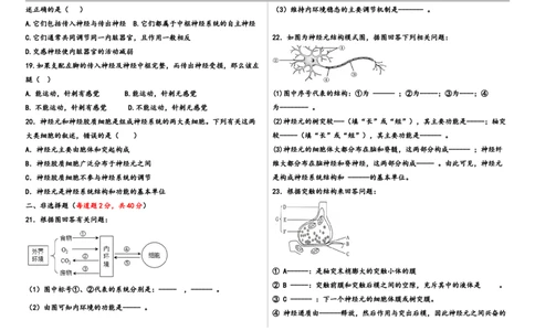 高二年级生物学_2025年10月高一试卷_251009新疆维吾尔自治区喀什地区巴楚县第一中学2025-2026学年高一上学期9月月考