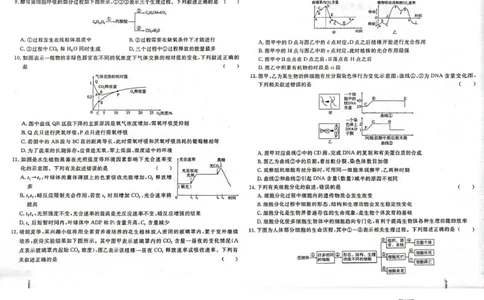 高一生物高一生物_2025年05月试卷_0523江西省赣州市大余县部分学校2024-2025学年高一下学期4月期中联考