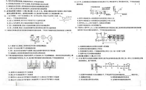 高一生物高一生物_2025年05月试卷_0523江西省赣州市大余县部分学校2024-2025学年高一下学期4月期中联考