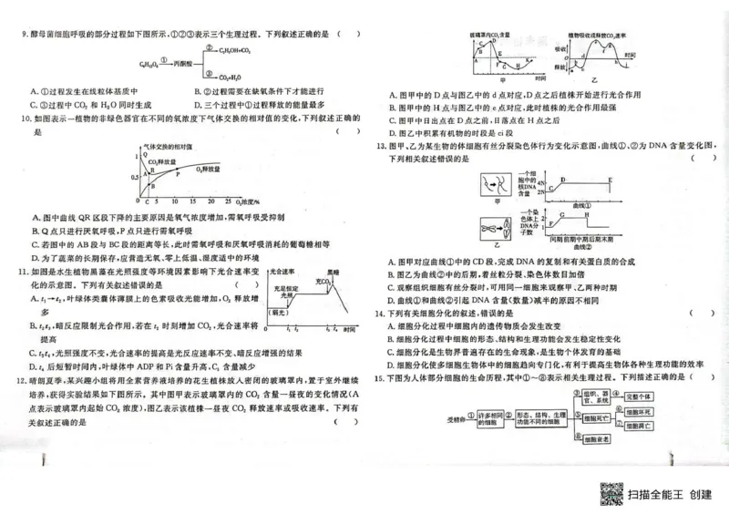 高一生物高一生物_2025年05月试卷_0523江西省赣州市大余县部分学校2024-2025学年高一下学期4月期中联考