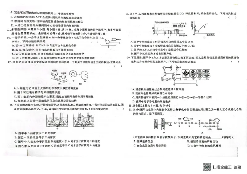 高一生物高一生物_2025年05月试卷_0523江西省赣州市大余县部分学校2024-2025学年高一下学期4月期中联考