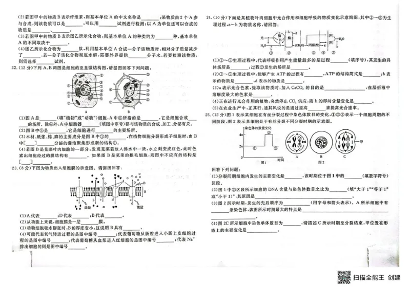 高一生物高一生物_2025年05月试卷_0523江西省赣州市大余县部分学校2024-2025学年高一下学期4月期中联考