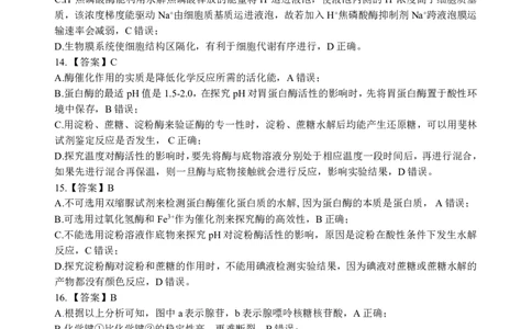 高一生物A卷答案_2024年12月试卷_1225湖北省新高考联考协作体2024-2025学年高一上学期12月联考_湖北省新高考联考协作体2024-2025学年高一上学期12月联考生物试卷含答案