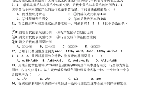 高一（5）部3月考生物试卷_2025年03月试卷_0312甘肃省张掖市民乐县第一中学2024-2025学年高一下学期3月月考_甘肃省张掖市民乐县第一中学2024-2025学年高一下学期3月月考生物试卷