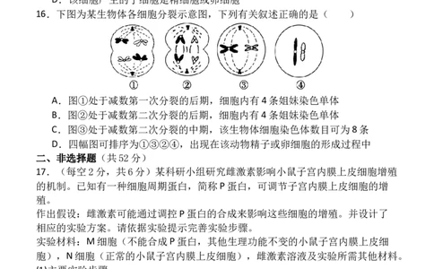 高一（5）部3月考生物试卷_2025年03月试卷_0312甘肃省张掖市民乐县第一中学2024-2025学年高一下学期3月月考_甘肃省张掖市民乐县第一中学2024-2025学年高一下学期3月月考生物试卷