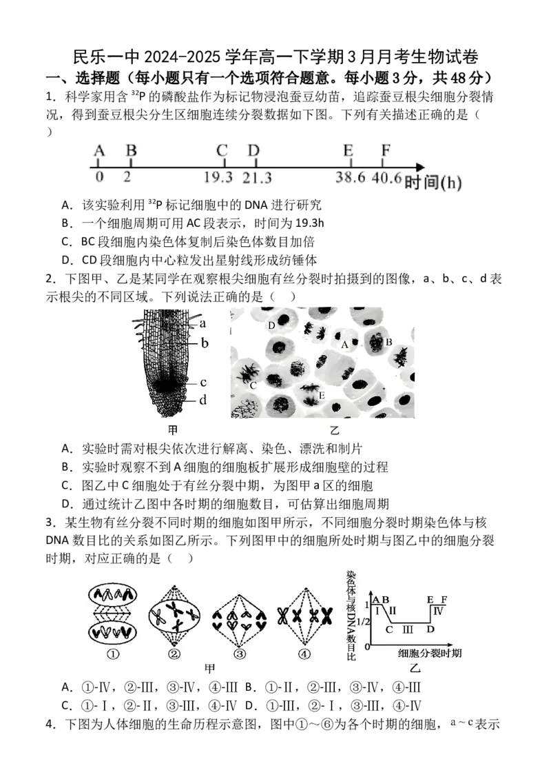 高一（5）部3月考生物试卷_2025年03月试卷_0312甘肃省张掖市民乐县第一中学2024-2025学年高一下学期3月月考_甘肃省张掖市民乐县第一中学2024-2025学年高一下学期3月月考生物试卷