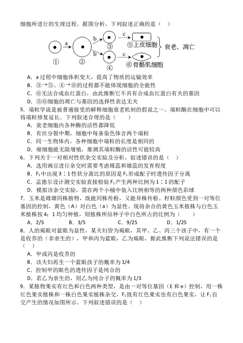 高一（5）部3月考生物试卷_2025年03月试卷_0312甘肃省张掖市民乐县第一中学2024-2025学年高一下学期3月月考_甘肃省张掖市民乐县第一中学2024-2025学年高一下学期3月月考生物试卷