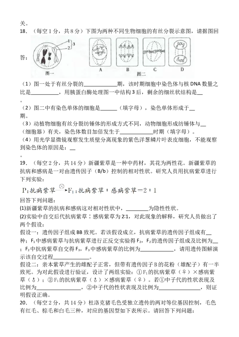 高一（5）部3月考生物试卷_2025年03月试卷_0312甘肃省张掖市民乐县第一中学2024-2025学年高一下学期3月月考_甘肃省张掖市民乐县第一中学2024-2025学年高一下学期3月月考生物试卷