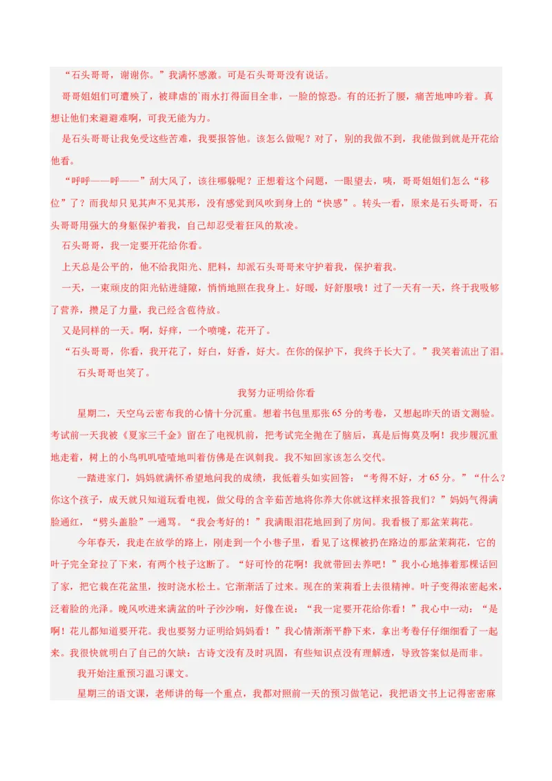 专题28选题作文（全国通用）（解析版）_中考复习资料_语数英物化_1语文中考复习_2026年中考复习（更新中）_好题汇编三年（2023-2025）中考语文真题分类汇编（全国通用）