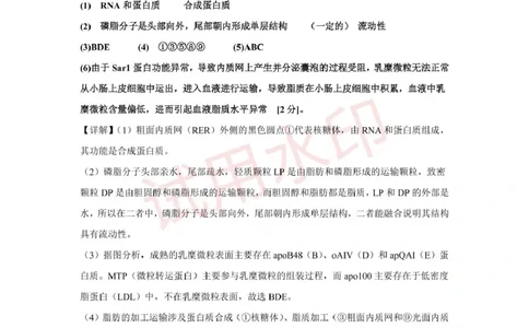 高一生物答案_2025年02月试卷_0225内蒙古自治区赤峰市红山区2024-2025学年高一上学期期末考试_内蒙古自治区赤峰市红山区2024-2025学年高一上学期期末考试生物Word版含答案