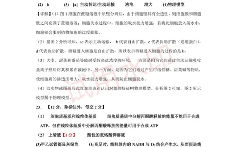 高一生物答案_2025年02月试卷_0225内蒙古自治区赤峰市红山区2024-2025学年高一上学期期末考试_内蒙古自治区赤峰市红山区2024-2025学年高一上学期期末考试生物Word版含答案