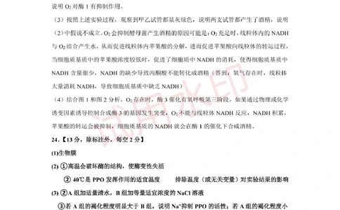 高一生物答案_2025年02月试卷_0225内蒙古自治区赤峰市红山区2024-2025学年高一上学期期末考试_内蒙古自治区赤峰市红山区2024-2025学年高一上学期期末考试生物Word版含答案