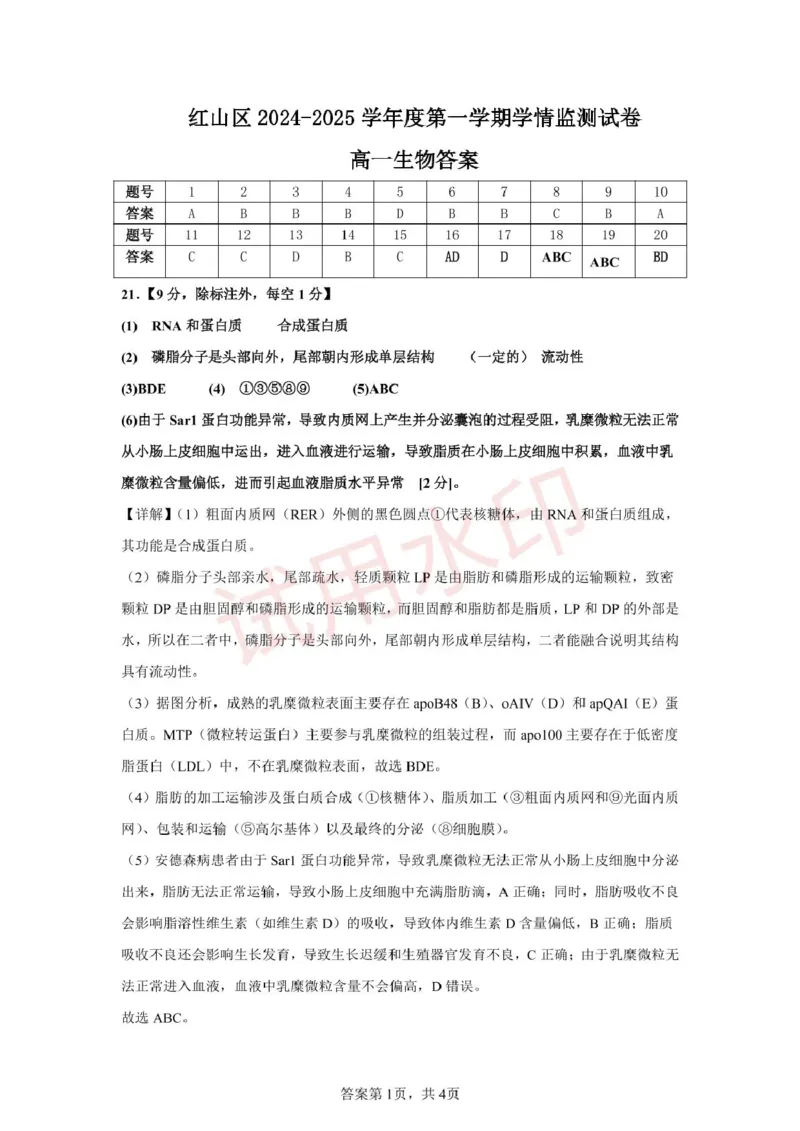 高一生物答案_2025年02月试卷_0225内蒙古自治区赤峰市红山区2024-2025学年高一上学期期末考试_内蒙古自治区赤峰市红山区2024-2025学年高一上学期期末考试生物Word版含答案