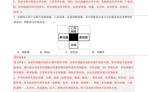 高一生物第一次月考卷（全解全析）（北京专用）_2025年10月高一试卷_2510032025-2026学年高一生物上学期第一次月考_2025-2026学年高一生物上学期第一次月考（北京专用）Word版含解析