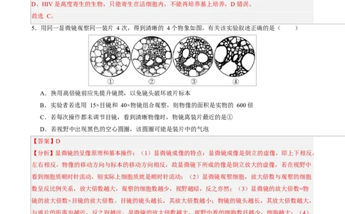 高一生物第一次月考卷（全解全析）（北京专用）_2025年10月高一试卷_2510032025-2026学年高一生物上学期第一次月考_2025-2026学年高一生物上学期第一次月考（北京专用）Word版含解析