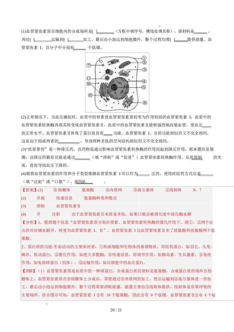 高一生物第一次月考卷（全解全析）（北京专用）_2025年10月高一试卷_2510032025-2026学年高一生物上学期第一次月考_2025-2026学年高一生物上学期第一次月考（北京专用）Word版含解析