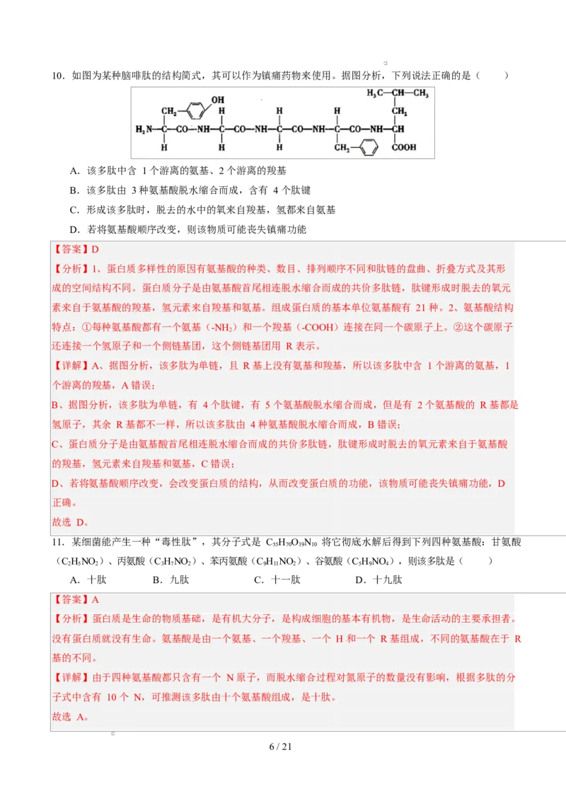 高一生物第一次月考卷（全解全析）（北京专用）_2025年10月高一试卷_2510032025-2026学年高一生物上学期第一次月考_2025-2026学年高一生物上学期第一次月考（北京专用）Word版含解析