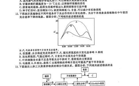 高一生物高一生物_2025年03月试卷_0304辽宁省名校联盟2024-2025学年高一下学期3月联考_辽宁省名校联盟2024&mdash;2025学年高一下学期3月联考生物学试题（PDF版，含解析）