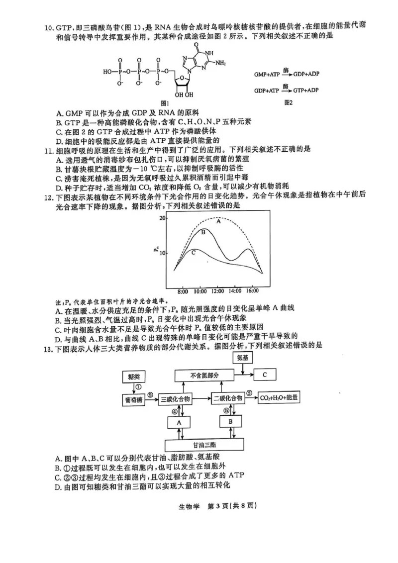 高一生物高一生物_2025年03月试卷_0304辽宁省名校联盟2024-2025学年高一下学期3月联考_辽宁省名校联盟2024&mdash;2025学年高一下学期3月联考生物学试题（PDF版，含解析）