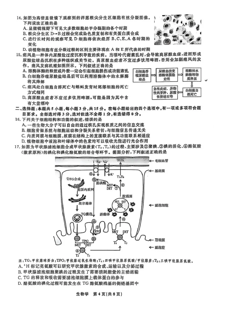 高一生物高一生物_2025年03月试卷_0304辽宁省名校联盟2024-2025学年高一下学期3月联考_辽宁省名校联盟2024&mdash;2025学年高一下学期3月联考生物学试题（PDF版，含解析）