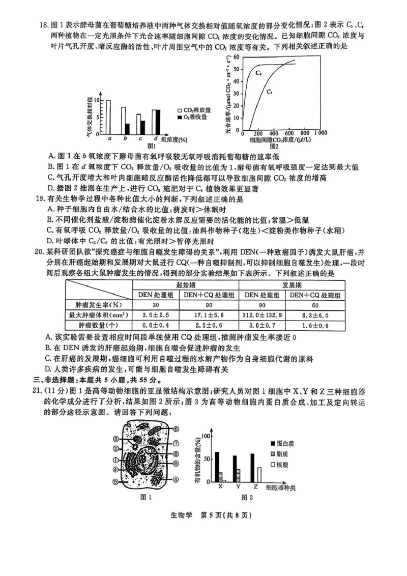 高一生物高一生物_2025年03月试卷_0304辽宁省名校联盟2024-2025学年高一下学期3月联考_辽宁省名校联盟2024&mdash;2025学年高一下学期3月联考生物学试题（PDF版，含解析）