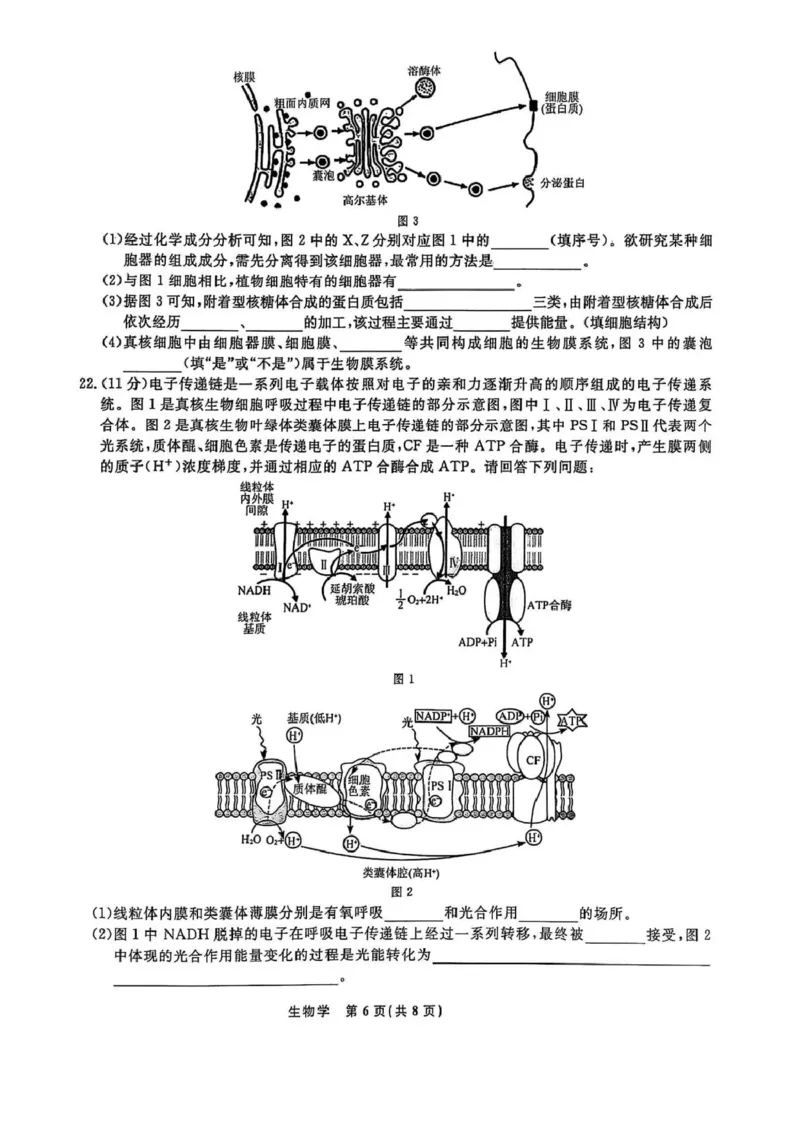 高一生物高一生物_2025年03月试卷_0304辽宁省名校联盟2024-2025学年高一下学期3月联考_辽宁省名校联盟2024&mdash;2025学年高一下学期3月联考生物学试题（PDF版，含解析）
