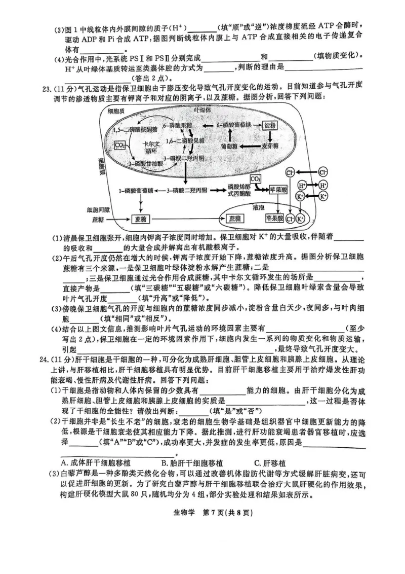 高一生物高一生物_2025年03月试卷_0304辽宁省名校联盟2024-2025学年高一下学期3月联考_辽宁省名校联盟2024&mdash;2025学年高一下学期3月联考生物学试题（PDF版，含解析）