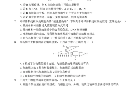 高一生物B卷试题_2024年12月试卷_1225湖北省新高考联考协作体2024-2025学年高一上学期12月联考_湖北省新高考联考协作体2024-2025学年高一上学期12月联考生物试卷含答案