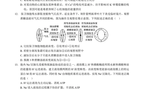 高一生物B卷试题_2024年12月试卷_1225湖北省新高考联考协作体2024-2025学年高一上学期12月联考_湖北省新高考联考协作体2024-2025学年高一上学期12月联考生物试卷含答案