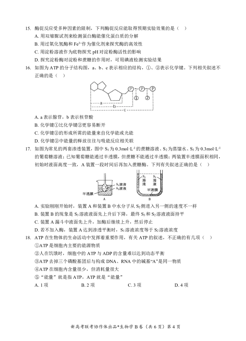 高一生物B卷试题_2024年12月试卷_1225湖北省新高考联考协作体2024-2025学年高一上学期12月联考_湖北省新高考联考协作体2024-2025学年高一上学期12月联考生物试卷含答案