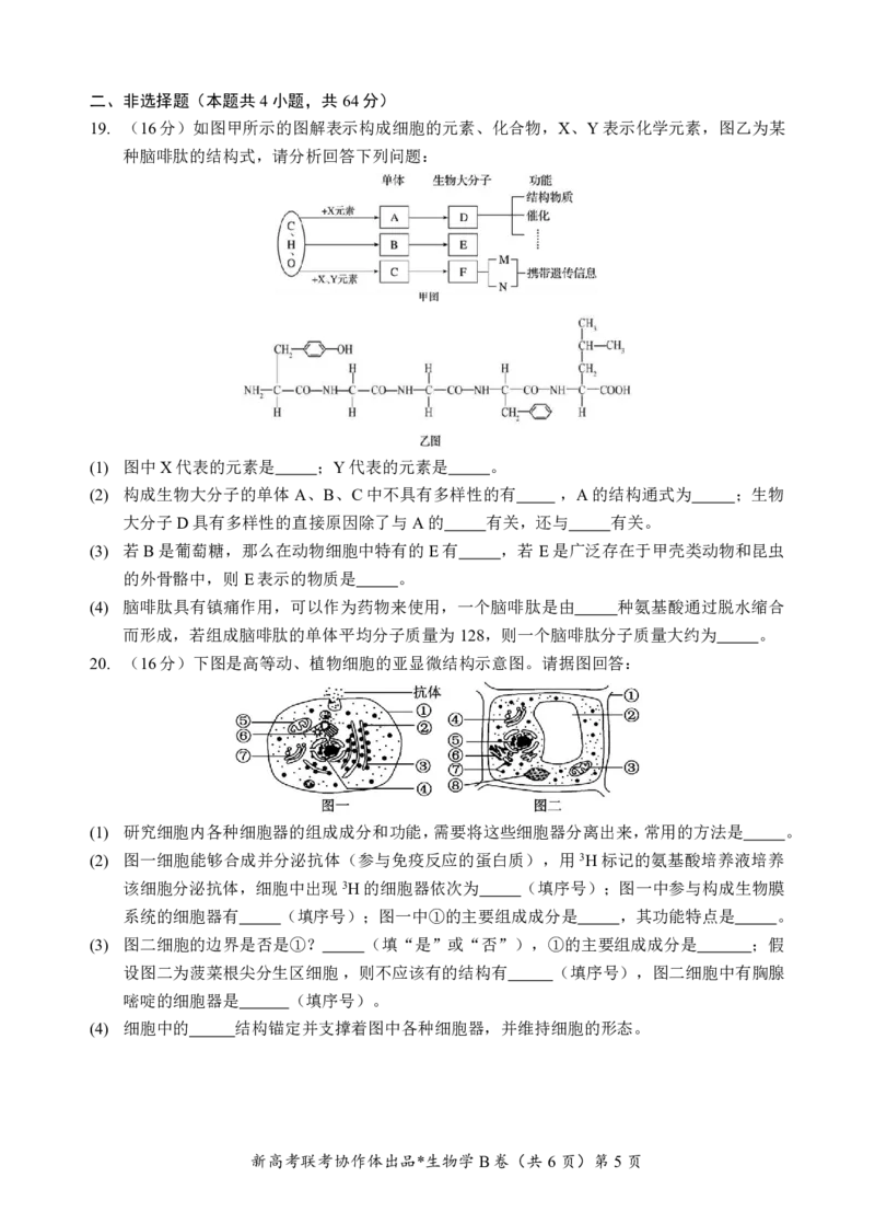 高一生物B卷试题_2024年12月试卷_1225湖北省新高考联考协作体2024-2025学年高一上学期12月联考_湖北省新高考联考协作体2024-2025学年高一上学期12月联考生物试卷含答案