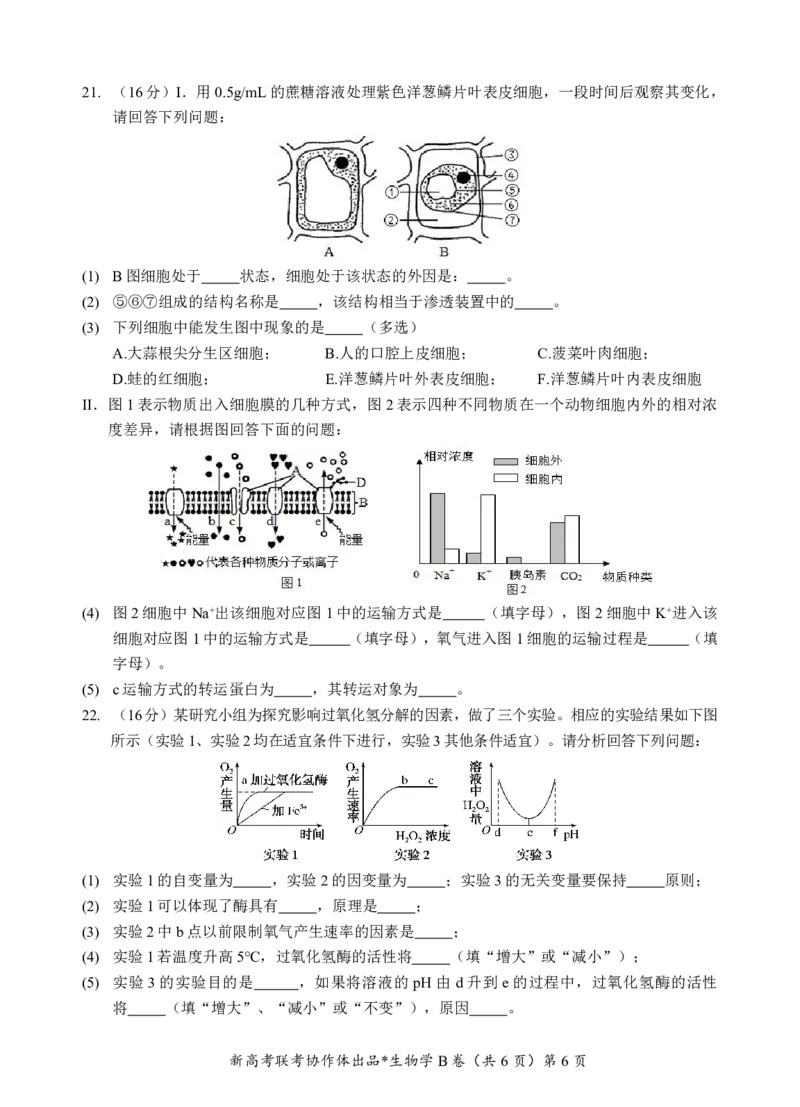 高一生物B卷试题_2024年12月试卷_1225湖北省新高考联考协作体2024-2025学年高一上学期12月联考_湖北省新高考联考协作体2024-2025学年高一上学期12月联考生物试卷含答案
