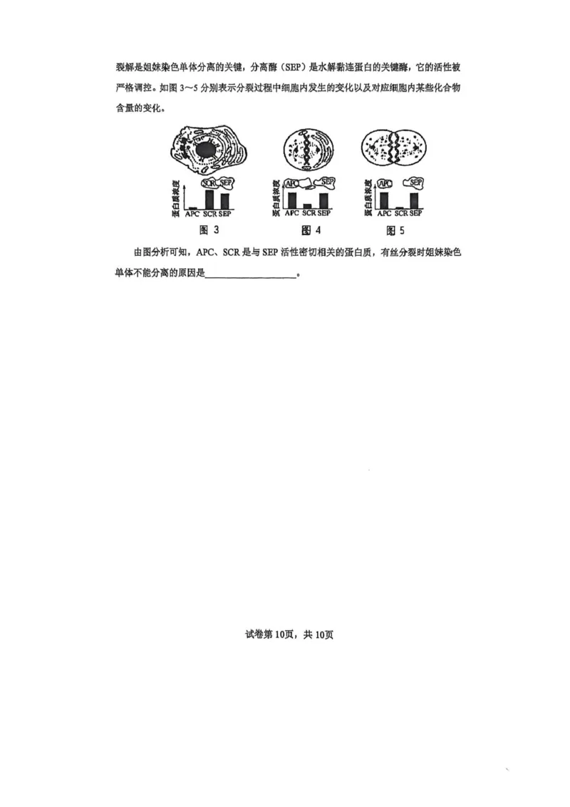 高一生物试卷_2026年02月高一试卷_260219河南省实验中学2025-2026高一上学期期末（全）_河南省实验中学2025-2026高一上学期期末生物试题含答案