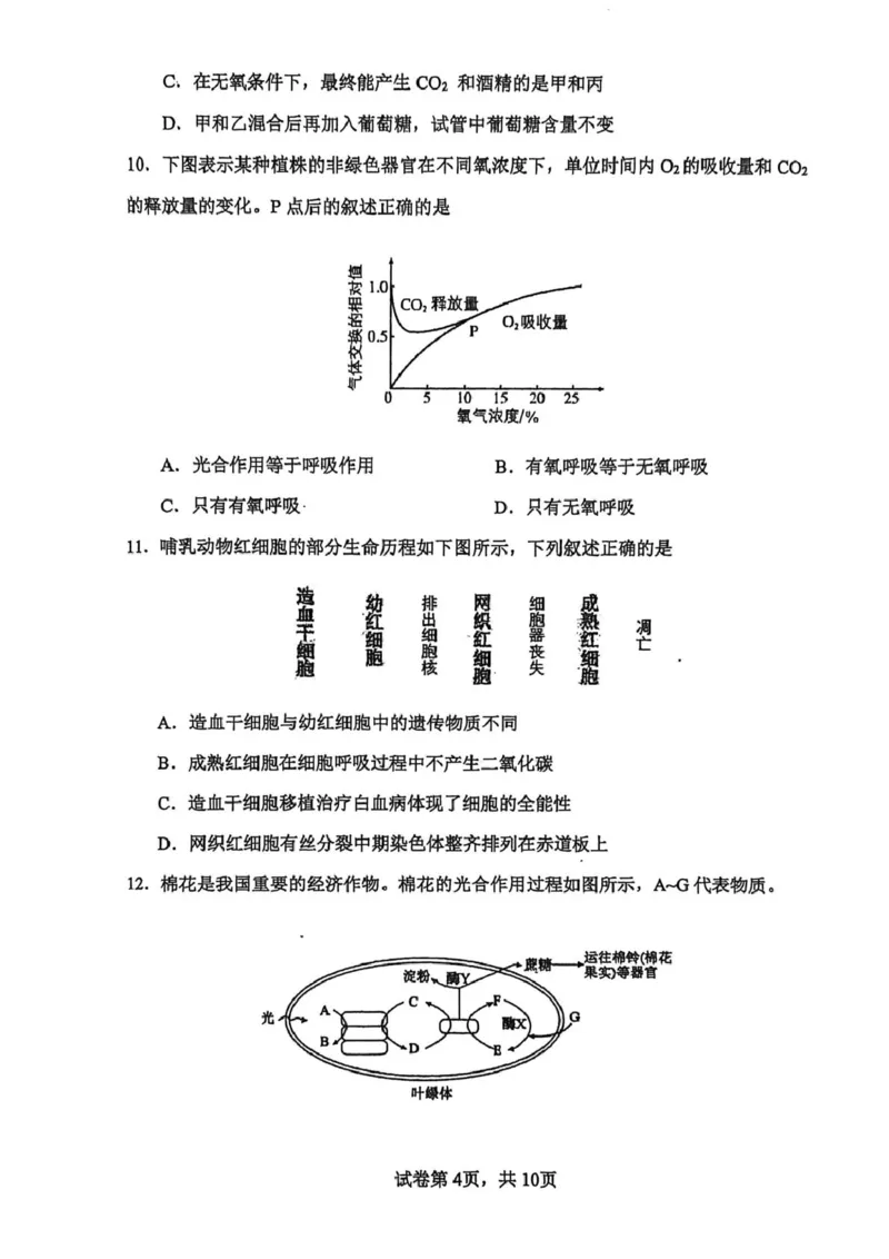 高一生物试卷_2026年02月高一试卷_260219河南省实验中学2025-2026高一上学期期末（全）_河南省实验中学2025-2026高一上学期期末生物试题含答案