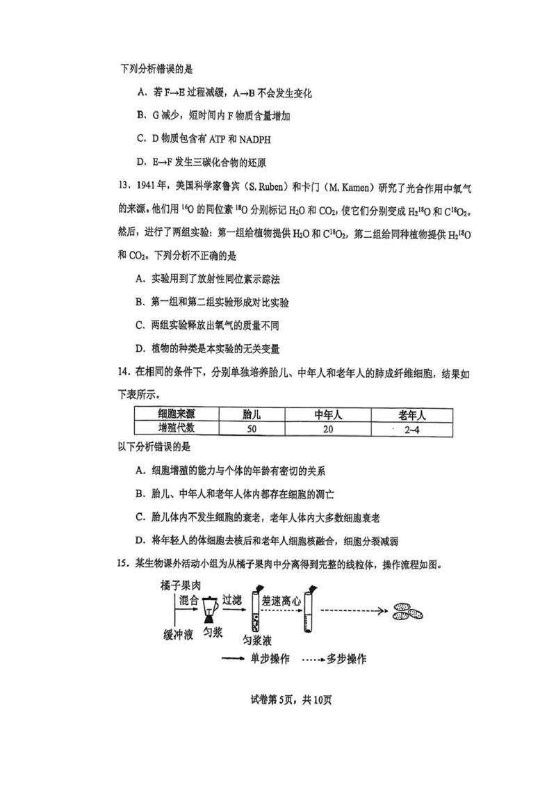 高一生物试卷_2026年02月高一试卷_260219河南省实验中学2025-2026高一上学期期末（全）_河南省实验中学2025-2026高一上学期期末生物试题含答案