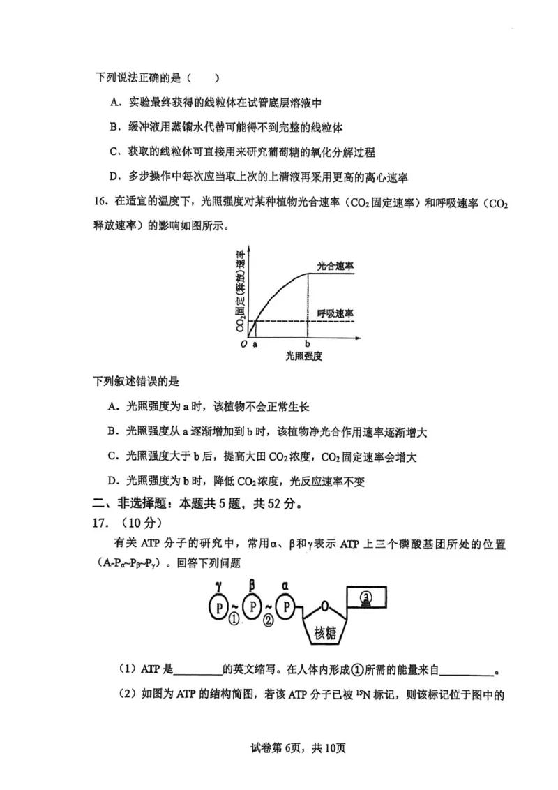 高一生物试卷_2026年02月高一试卷_260219河南省实验中学2025-2026高一上学期期末（全）_河南省实验中学2025-2026高一上学期期末生物试题含答案