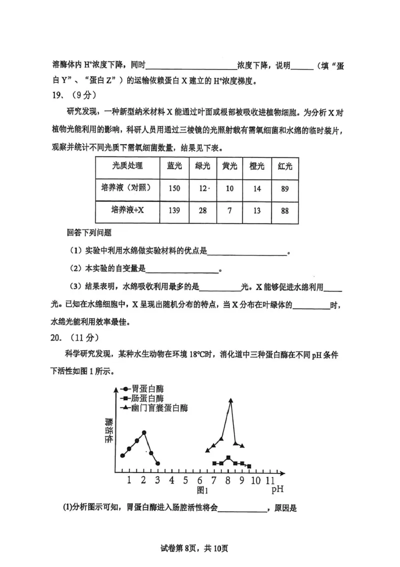 高一生物试卷_2026年02月高一试卷_260219河南省实验中学2025-2026高一上学期期末（全）_河南省实验中学2025-2026高一上学期期末生物试题含答案