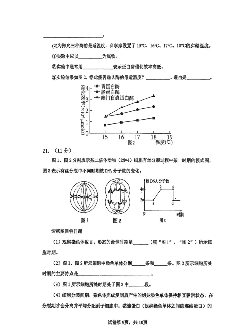 高一生物试卷_2026年02月高一试卷_260219河南省实验中学2025-2026高一上学期期末（全）_河南省实验中学2025-2026高一上学期期末生物试题含答案
