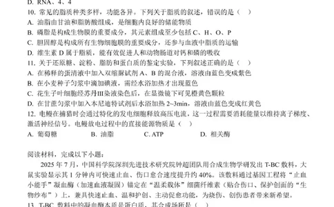 高一生物试题_2025年11月高一试卷_251128浙江省S9联盟2025-2026学年高一上学期11月期中考试（全）_浙江省S9联盟2025-2026学年高一上学期期中联考生物试题（扫描版，有答案）