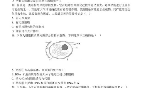高一生物试题_2025年11月高一试卷_251128浙江省S9联盟2025-2026学年高一上学期11月期中考试（全）_浙江省S9联盟2025-2026学年高一上学期期中联考生物试题（扫描版，有答案）
