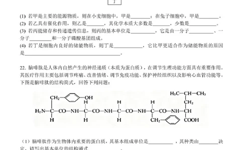高一生物试题_2025年11月高一试卷_251128浙江省S9联盟2025-2026学年高一上学期11月期中考试（全）_浙江省S9联盟2025-2026学年高一上学期期中联考生物试题（扫描版，有答案）