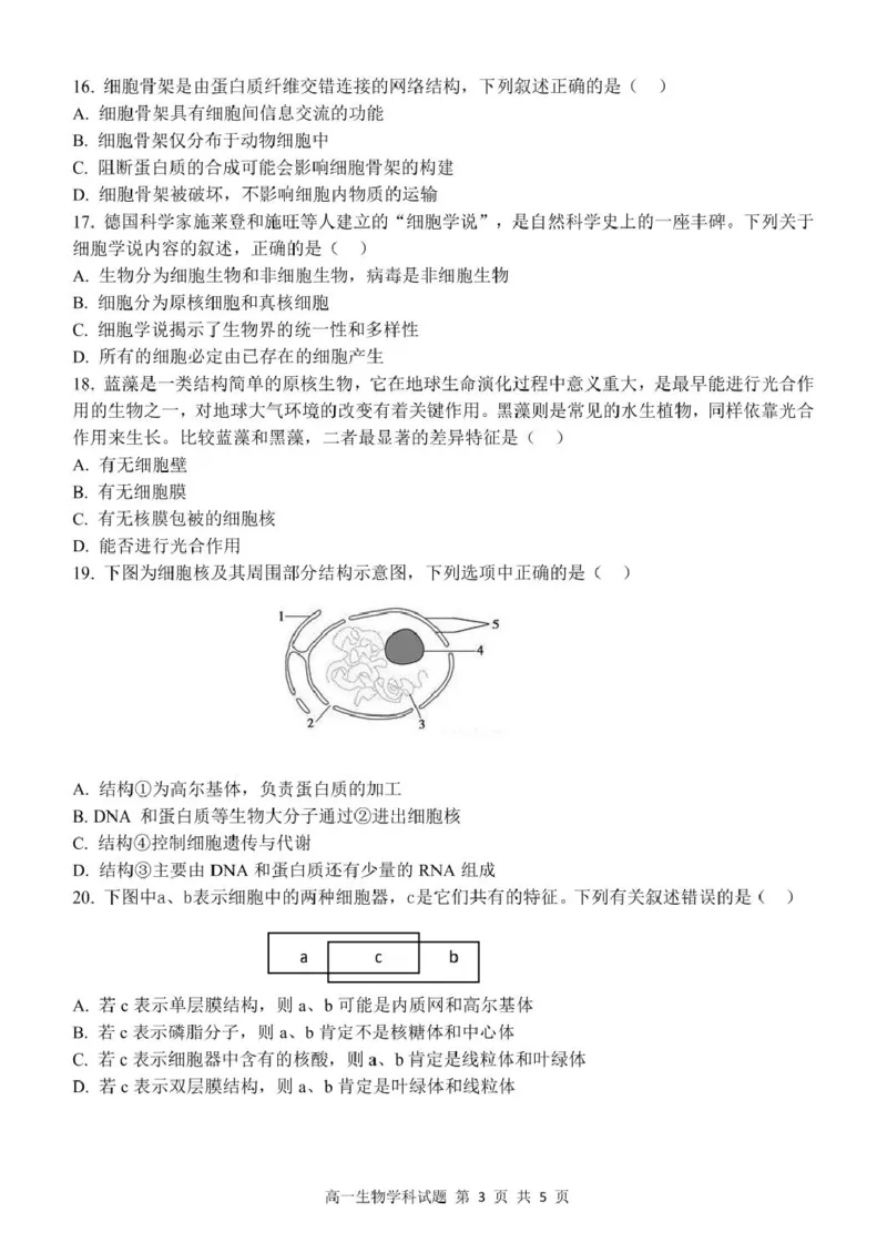 高一生物试题_2025年11月高一试卷_251128浙江省S9联盟2025-2026学年高一上学期11月期中考试（全）_浙江省S9联盟2025-2026学年高一上学期期中联考生物试题（扫描版，有答案）