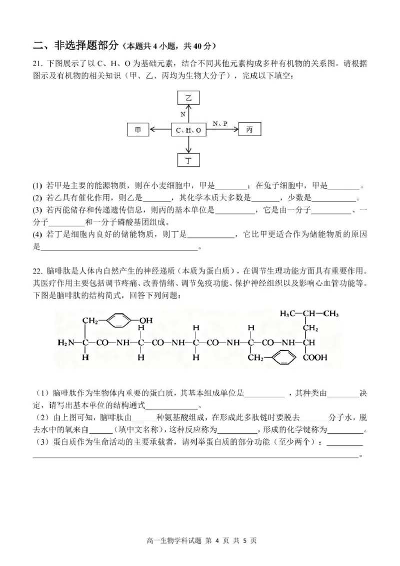 高一生物试题_2025年11月高一试卷_251128浙江省S9联盟2025-2026学年高一上学期11月期中考试（全）_浙江省S9联盟2025-2026学年高一上学期期中联考生物试题（扫描版，有答案）