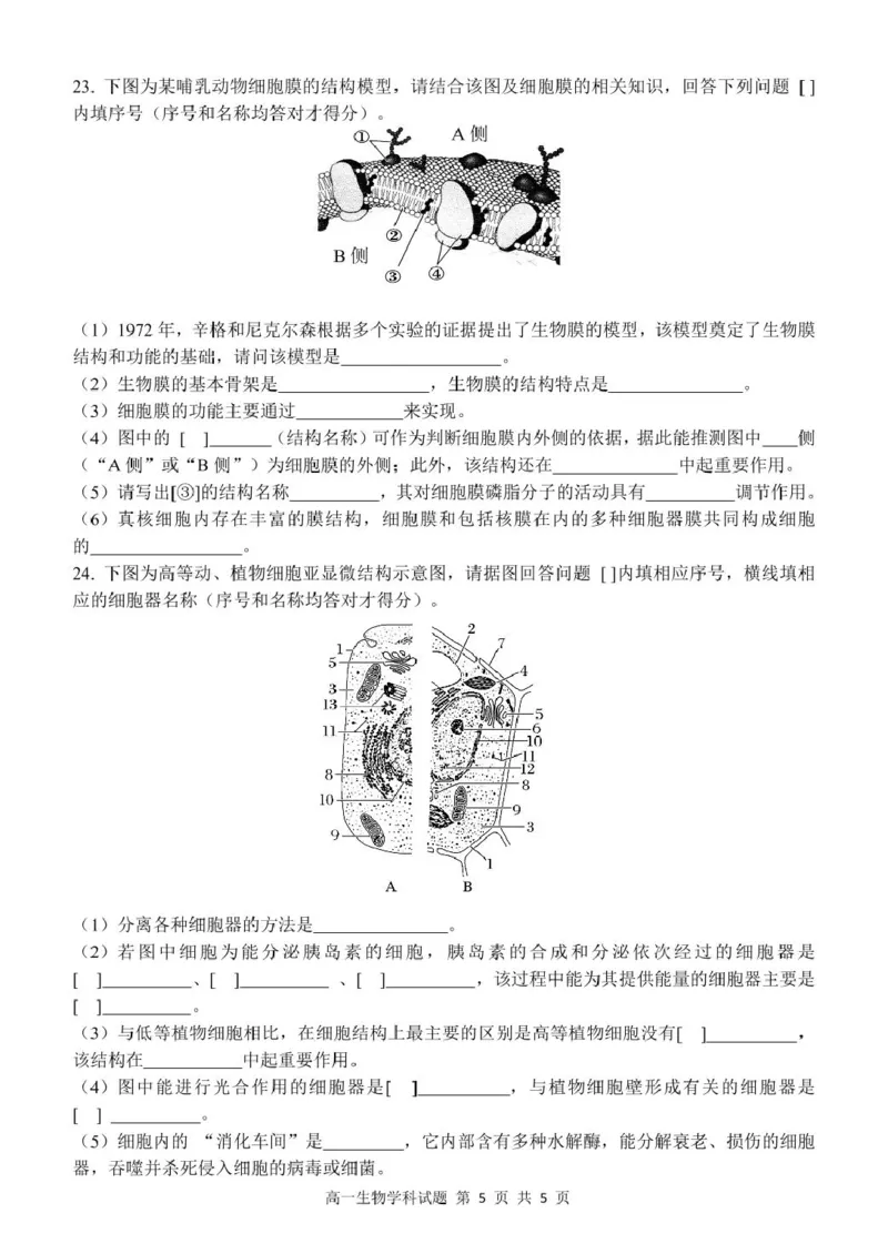 高一生物试题_2025年11月高一试卷_251128浙江省S9联盟2025-2026学年高一上学期11月期中考试（全）_浙江省S9联盟2025-2026学年高一上学期期中联考生物试题（扫描版，有答案）