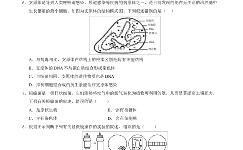 高一生物上学期第一次月考01测试范围：人教版2019必修2第1章~第2章第4节（考试版）（人教版2019）_2025年10月高一试卷_2510032025-2026学年高一生物上学期第一次月考