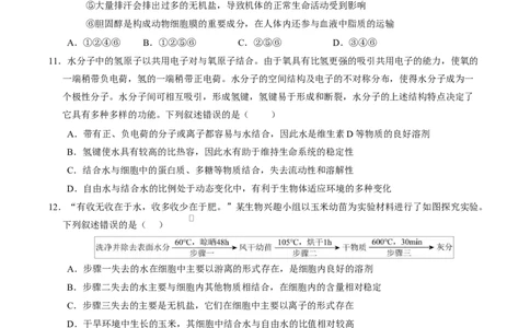 高一生物上学期第一次月考01测试范围：人教版2019必修2第1章~第2章第4节（考试版）（人教版2019）_2025年10月高一试卷_2510032025-2026学年高一生物上学期第一次月考