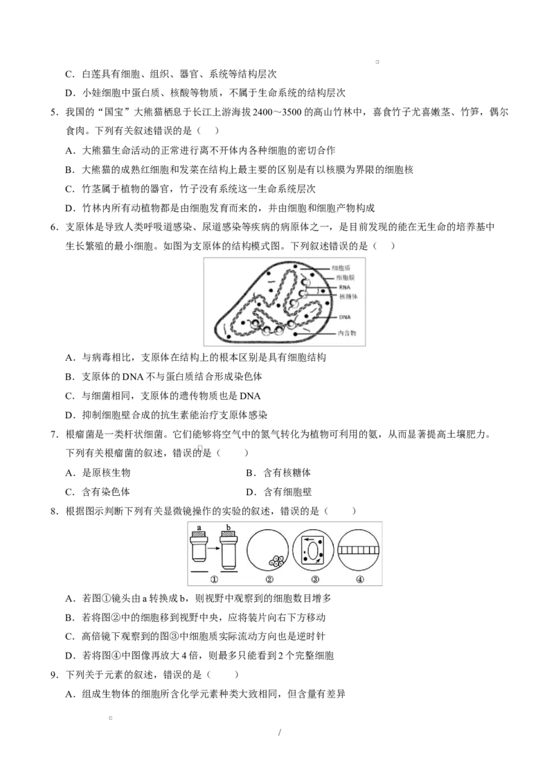 高一生物上学期第一次月考01测试范围：人教版2019必修2第1章~第2章第4节（考试版）（人教版2019）_2025年10月高一试卷_2510032025-2026学年高一生物上学期第一次月考