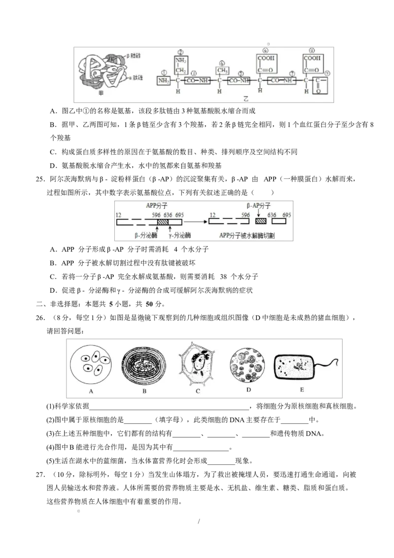 高一生物上学期第一次月考01测试范围：人教版2019必修2第1章~第2章第4节（考试版）（人教版2019）_2025年10月高一试卷_2510032025-2026学年高一生物上学期第一次月考
